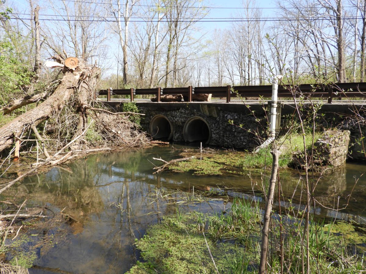 Stone arch and timber bridge carrying Brookneil Drive over Cedar Creek, assessed by Damron Engineering